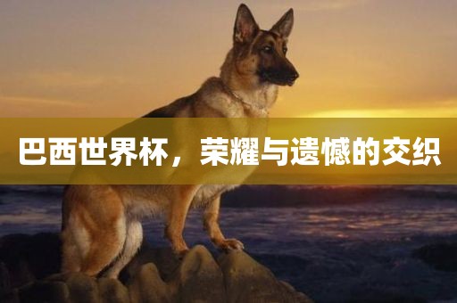 巴西世界杯，荣耀与遗憾的交织