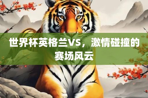 世界杯英格兰VS，激情碰撞的赛场风云