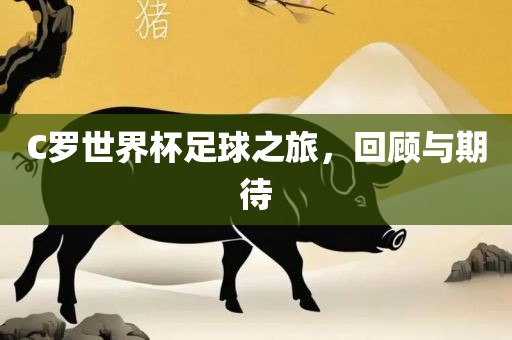 C罗世界杯足球之旅，回顾与期待