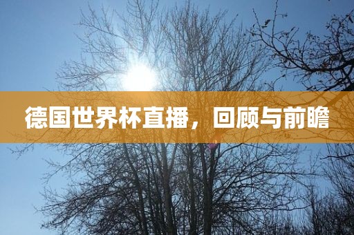 德国世界杯直播，回顾与前瞻