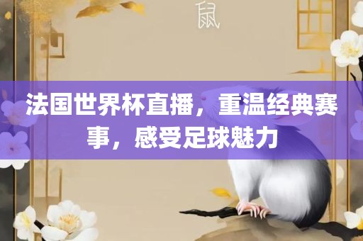 法国世界杯直播，重温经典赛事，感受足球魅力