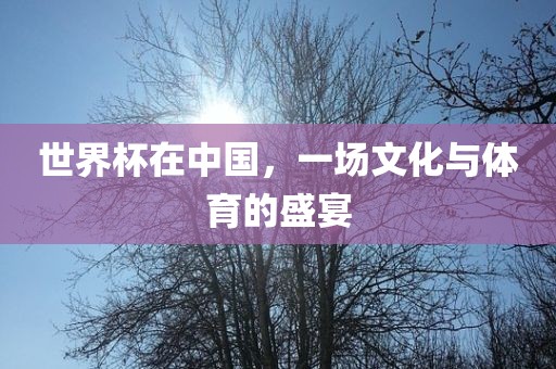 世界杯在中国，一场文化与体育的盛宴