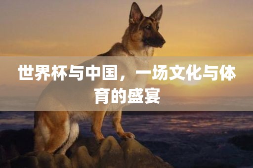 世界杯与中国，一场文化与体育的盛宴