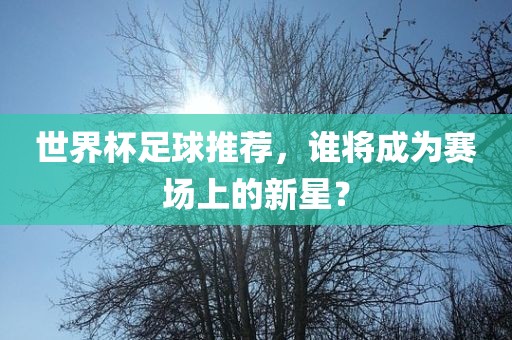 世界杯足球推荐，谁将成为赛场上的新星？