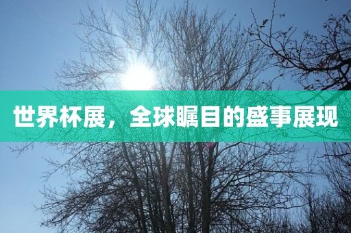 世界杯展，全球瞩目的盛事展现
