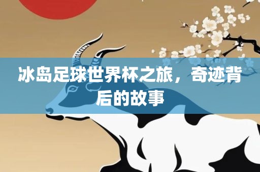 冰岛足球世界杯之旅，奇迹背后的故事