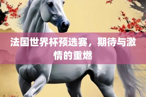 法国世界杯预选赛，期待与激情的重燃