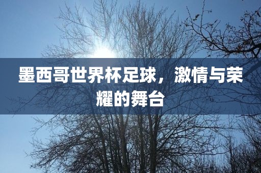 墨西哥世界杯足球，激情与荣耀的舞台