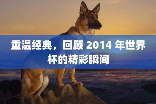 重温经典，回顾 2014 年世界杯的精彩瞬间