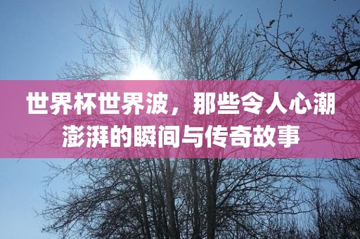 世界杯世界波，那些令人心潮澎湃的瞬间与传奇故事