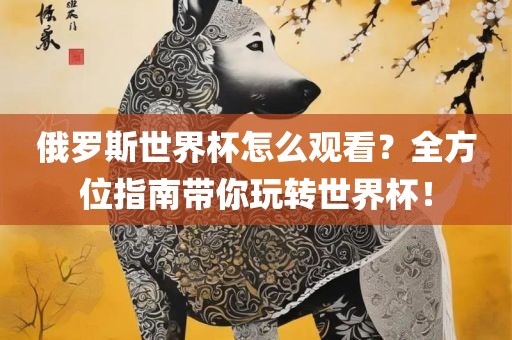 俄罗斯世界杯怎么观看？全方位指南带你玩转世界杯！