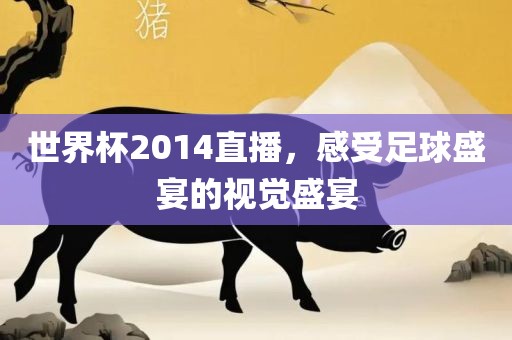 世界杯2014直播，感受足球盛宴的视觉盛宴