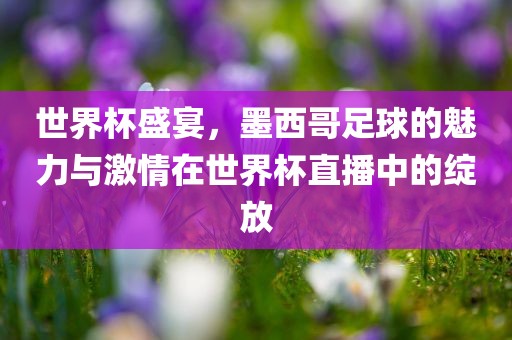 世界杯盛宴，墨西哥足球的魅力与激情在世界杯直播中的绽放
