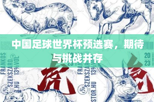 中国足球世界杯预选赛，期待与挑战并存