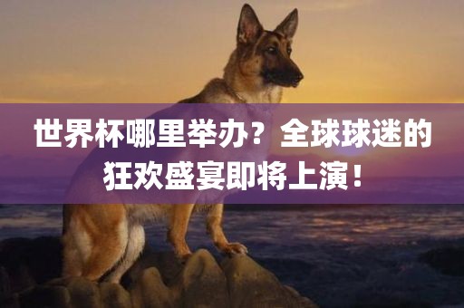 世界杯哪里举办？全球球迷的狂欢盛宴即将上演！