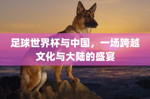 足球世界杯与中国，一场跨越文化与大陆的盛宴