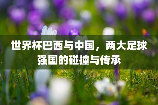世界杯巴西与中国，两大足球强国的碰撞与传承