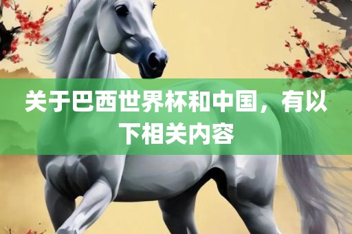 关于巴西世界杯和中国，有以下相关内容
