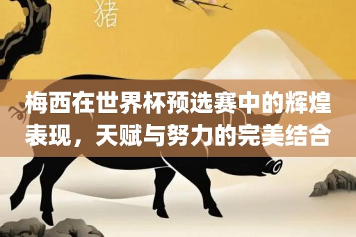 梅西在世界杯预选赛中的辉煌表现，天赋与努力的完美结合