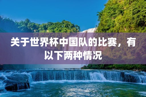 关于世界杯中国队的比赛，有以下两种情况