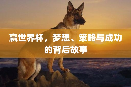 赢世界杯，梦想、策略与成功的背后故事