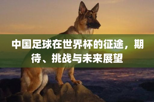中国足球在世界杯的征途，期待、挑战与未来展望