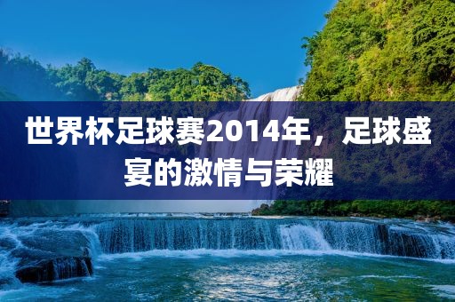 世界杯足球赛2014年，足球盛宴的激情与荣耀
