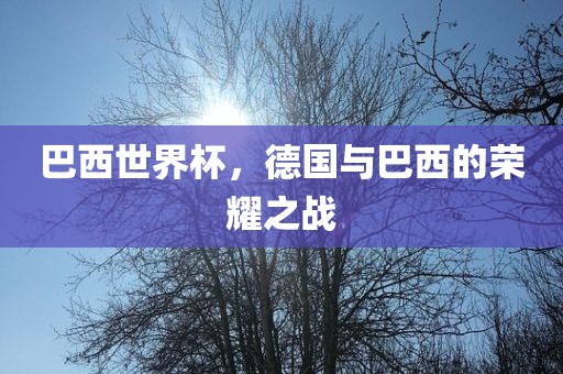 巴西世界杯，德国与巴西的荣耀之战