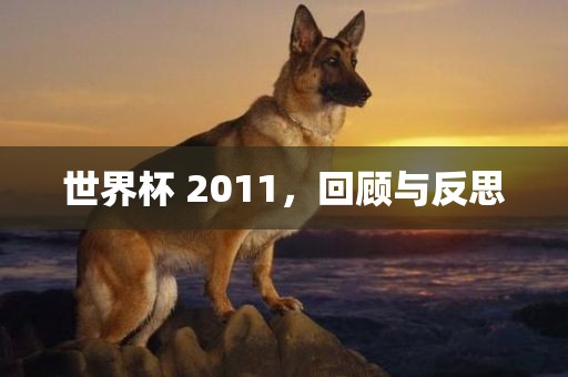世界杯 2011，回顾与反思