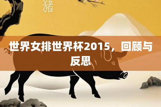 世界女排世界杯2015，回顾与反思