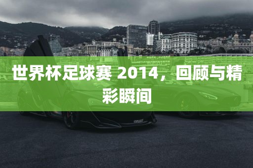 世界杯足球赛 2014，回顾与精彩瞬间