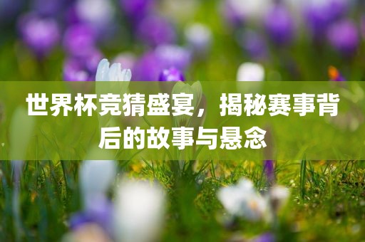 世界杯竞猜盛宴，揭秘赛事背后的故事与悬念