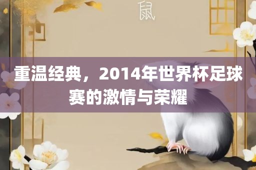 重温经典，2014年世界杯足球赛的激情与荣耀