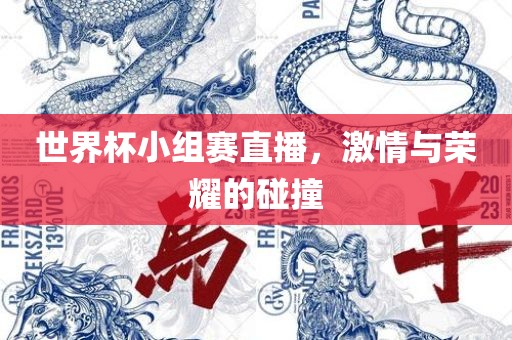 世界杯小组赛直播，激情与荣耀的碰撞