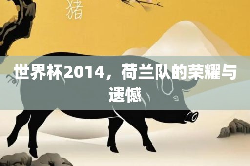 世界杯2014，荷兰队的荣耀与遗憾
