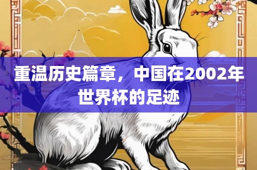 重温历史篇章，中国在2002年世界杯的足迹