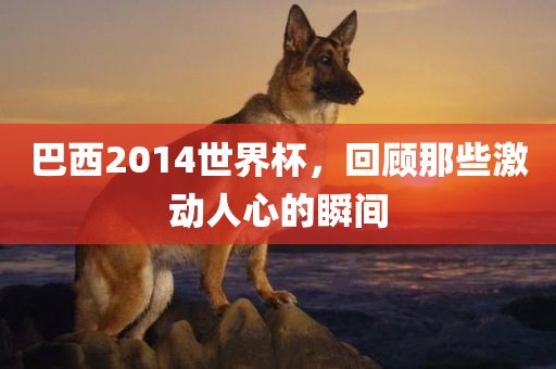 巴西2014世界杯，回顾那些激动人心的瞬间