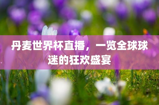 丹麦世界杯直播，一览全球球迷的狂欢盛宴