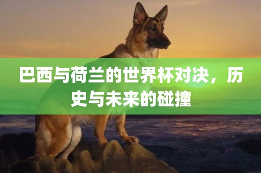 巴西与荷兰的世界杯对决，历史与未来的碰撞