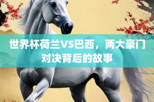 世界杯荷兰VS巴西，两大豪门对决背后的故事