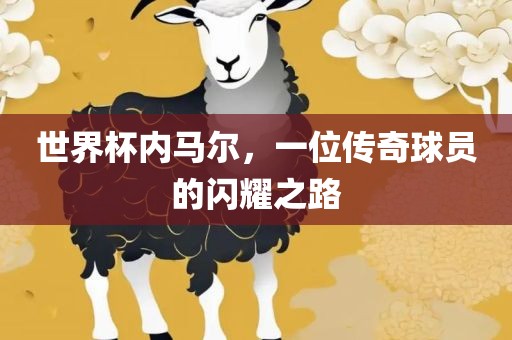 世界杯内马尔，一位传奇球员的闪耀之路