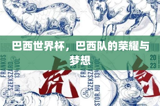 巴西世界杯，巴西队的荣耀与梦想