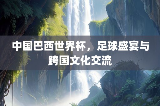 中国巴西世界杯，足球盛宴与跨国文化交流