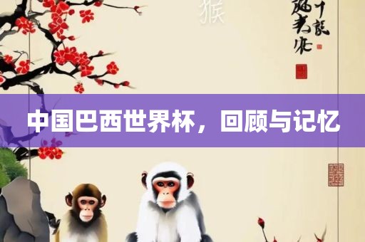 中国巴西世界杯，回顾与记忆