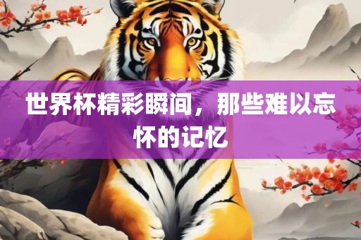 世界杯精彩瞬间，那些难以忘怀的记忆