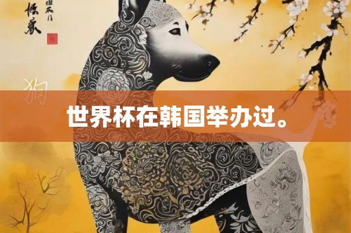世界杯在韩国举办过。