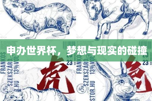 申办世界杯，梦想与现实的碰撞