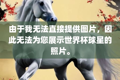 由于我无法直接提供图片，因此无法为您展示世界杯球星的照片。