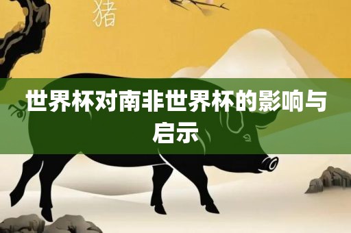 世界杯对南非世界杯的影响与启示