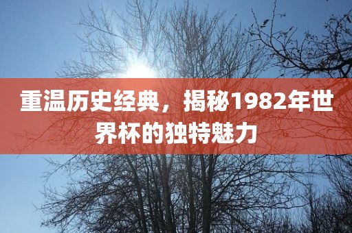 重温历史经典，揭秘1982年世界杯的独特魅力